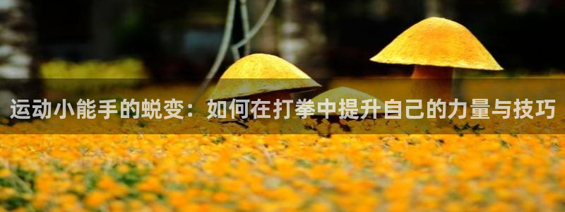 征途国际平台体育:运动小能手的蜕变:如何在打拳中提升自己的力